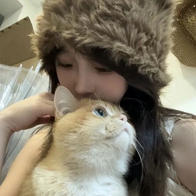 回到藏身处